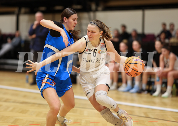 Basketball Damen Superliga 2023/24, Grunddurchgang 11.Runde Basket Flames vs. DBB Wels



