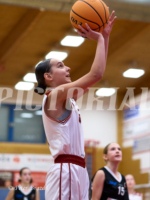 Basketball Superliga 2024/25, SLWU14 Traiskirchen Lionesses vs. DBK Steyrer Witches


