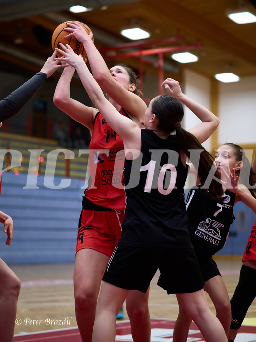 Basketball Superliga 2024/25, SLWU16 Traiskirchen Lionesses vs. BBC Nord Dragons


