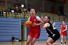 Basketball Superliga 2024/25, SLWU16 Traiskirchen Lionesses vs. BBC Nord Dragons


