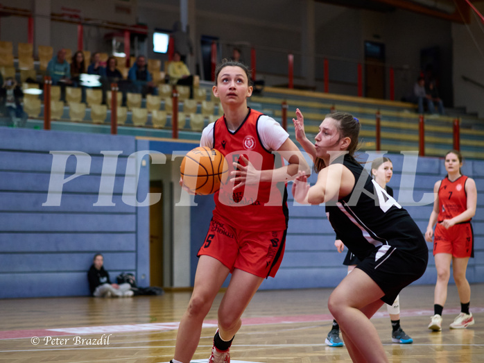 Basketball Superliga 2024/25, SLWU16 Traiskirchen Lionesses vs. BBC Nord Dragons


