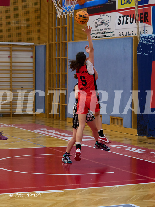 Basketball Superliga 2024/25, SLMU16 Traiskirchen Lionesses vs. VKL Vikings Kammer



