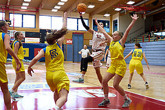 Basketball Superliga 2024/25, SLWU16 Traiskirchen Lionesses vs. UBBC Herzogenburg


