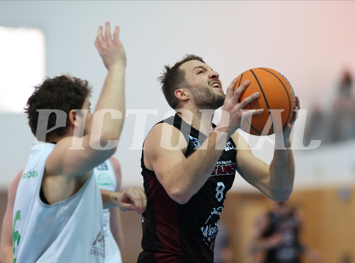 Basketball Zweite Liga 2024/25, Grunddurchgang 19.Runde Union Deutsch Wagram Aligators vs. Mistelbach Mustangs


