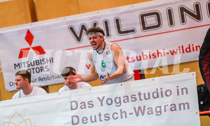 Basketball Zweite Liga 2023/24, Playoff, Finale Spiel 2 Union Deutsch Wagram Aligators vs. Mistelbach Mustangs
Basketball Zweite Liga 2023/24, Playoff, Finale Spiel 2 Union Deutsch Wagram Aligators vs. Mistelbach Mustangs