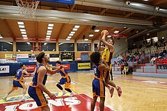 Basketball Zweite Liga 2024/25, Grunddurchgang 8.Runde Traiskirchen Lions NextGen vs. BBU Salzburg