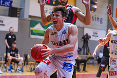 Basketball 2. Liga 2022/23, Finale Spiel 2, Guessing Blackbirds vs. Mistelbach Mustangs