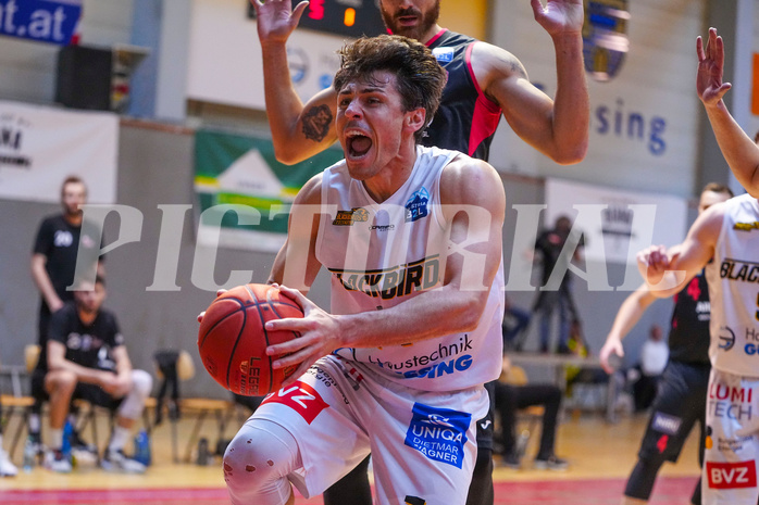 Basketball 2. Liga 2022/23, Finale Spiel 2, Guessing Blackbirds vs. Mistelbach Mustangs