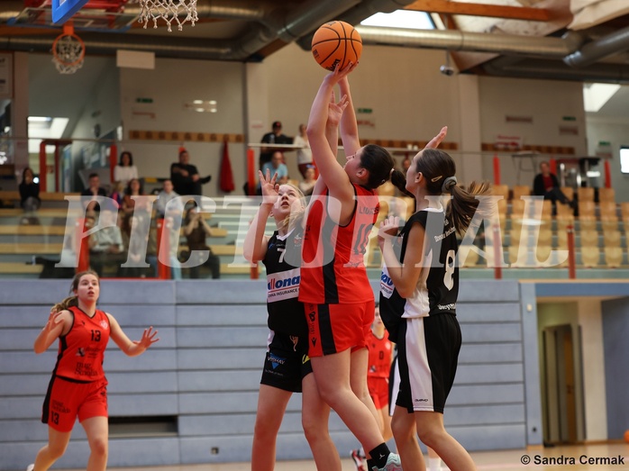 Basketball Superliga 2024/25, SLWU16 Traiskirchen Lionesses vs. DBK Steyrer Witch Cadets



