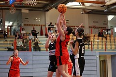 Basketball Superliga 2024/25, SLWU16 Traiskirchen Lionesses vs. DBK Steyrer Witch Cadets


