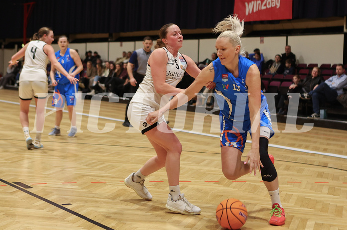 Basketball Damen Superliga 2023/24, Grunddurchgang 11.Runde Basket Flames vs. DBB Wels


