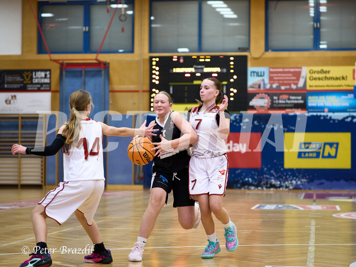 Basketball Superliga 2024/25, SLWU14 Traiskirchen Lionesses vs. DBK Steyrer Witches


