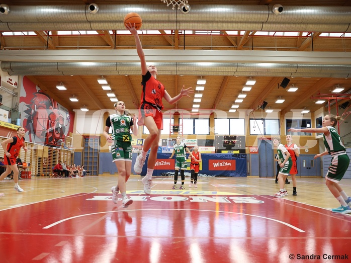 Basketball Superliga 2024/25, SLWU14 Traiskirchen Lionesses vs. UBI Graz


