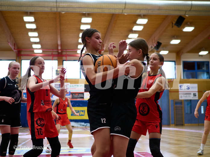 Basketball Superliga 2024/25, SLWU14 Traiskirchen Lionesses vs. Gratkorn Scorpions


