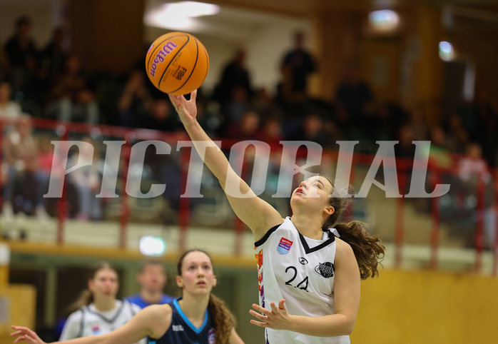 Basketball Damen Superliga 2024/25, Grunddurchgang 6.Runde Vienna United vs. Vienna Timberwolves



