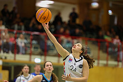 Basketball Damen Superliga 2024/25, Grunddurchgang 6.Runde Vienna United vs. Vienna Timberwolves


