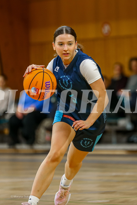 01.12.2024 Österreichischer Basketballverband 2024/25, SLWU19, Vienna United vs. Vienna Timberwolves