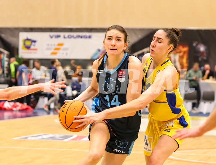 Basketball Damen Superliga 2023/24, Grunddurchgang 7.Runde SKN St. Pölten vs. Vienna Timberwolves