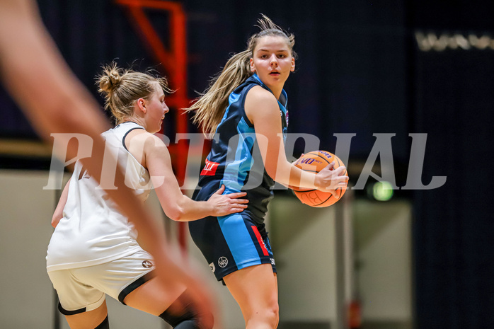 Basketball Damen Superliga 2024/25, Grunddurchgang 03.Runde BASKET FLAMES vs. TIMBERWOLVES


