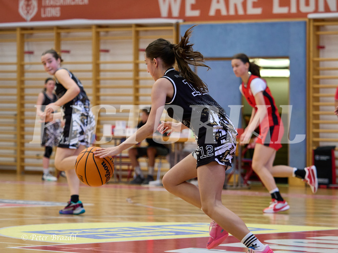 Basketball Superliga 2024/25, SLMU16 Traiskirchen Lionesses vs. VKL Vikings Kammer


