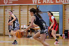 Basketball Superliga 2024/25, SLMU16 Traiskirchen Lionesses vs. VKL Vikings Kammer


