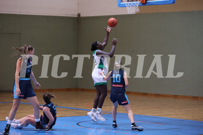 13.11.2022, Unionhalle A, Damen Austria Basketball Cup 2022/23, Viertelfinale,  
UBI Holding Graz vs. Vienna Timberwolves,  