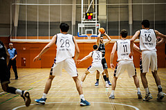 Basketball, Basketball Zweite Liga 2024/25, Grunddurchgang 8.Runde, Vienna United, Wörthersee Piraten, Andreas Nuck (11)