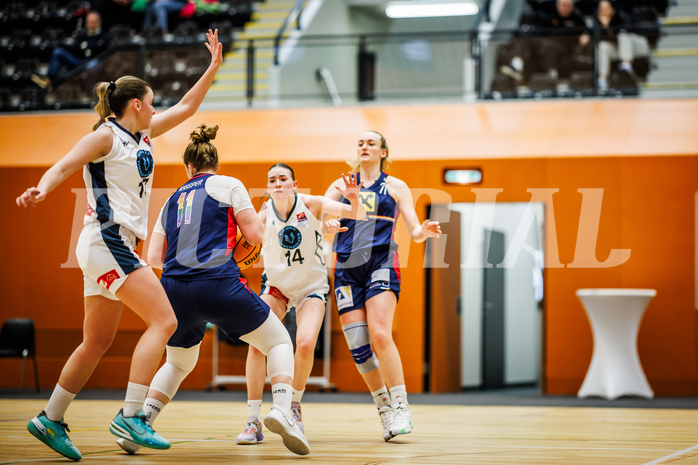 Basketball, Win2Day Basketball Damen Superliga 2023/24, Grunddurchgang 14.Runde, Vienna Timberwolves, SKN St. Pölten, Nina Krisper (11)