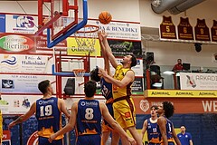 Basketball Zweite Liga 2024/25, Grunddurchgang 8.Runde Traiskirchen Lions NextGen vs. BBU Salzburg