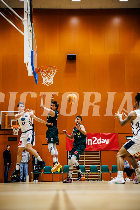Basketball, Basketball Zweite Liga 2024/25, Grunddurchgang 12.Runde, Vienna Timberwolves, Dornbirn Lions, 