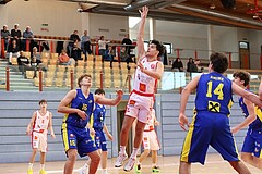 Basketball Superliga 2024/25, SLMU16 Traiskirchen Lions Academy  vs. UBSC Graz 


