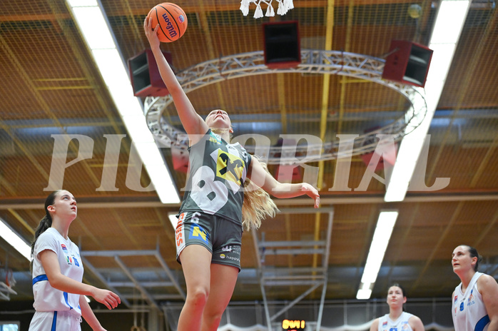 Basketball Superliga 2024/25, Grunddurchgang 4.Runde, DBB Wels vs Klosterneuburg,

