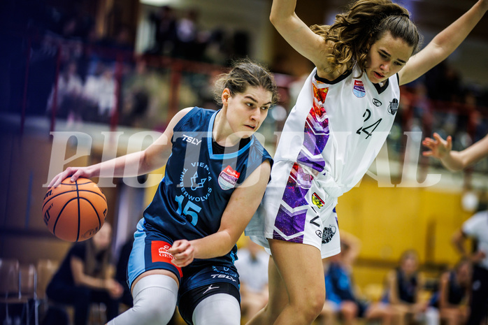 Basketball, Win2Day Basketball Damen Superliga 2023/24, Grunddurchgang 6.Runde, Vienna United, Vienna Timberwolves, Viktoria Trailovic (15)