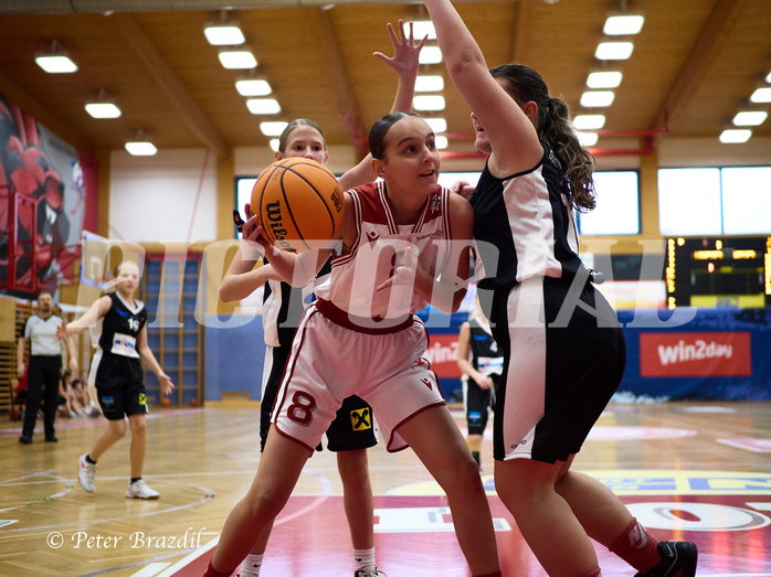 Basketball Superliga 2024/25, SLWU14 Traiskirchen Lionesses vs. DBK Steyrer Witches


