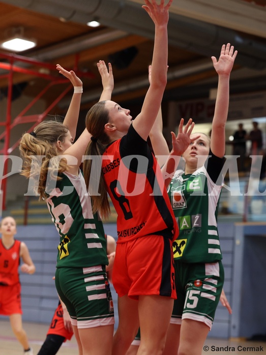 Basketball Superliga 2024/25, SLWU14 Traiskirchen Lionesses vs. UBI Graz


