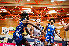 Basketball, win2day Basketball Superliga 2024/25, Playoffs Finale 2. Spiel
, BBC Nord Dragonz, Oberwart Gunners, Lukas Hahn (25)