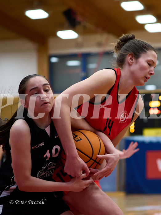 Basketball Superliga 2024/25, SLWU16 Traiskirchen Lionesses vs. BBC Nord Dragons


