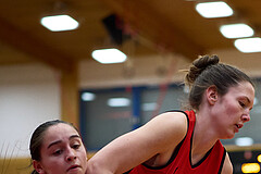 Basketball Superliga 2024/25, SLWU16 Traiskirchen Lionesses vs. BBC Nord Dragons



