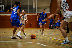 Basketball, Win2Day Basketball Damen Superliga 2023/24, Grunddurchgang 2.Runde, Vienna Timberwolves, DBB LZ OÖ, Melanie Fischer (14)