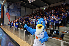 Basketball Superliga 2024/25, Playoffs, Finale Spiel 3 Oberwart Gunners vs. BBC Nord Dragonz


