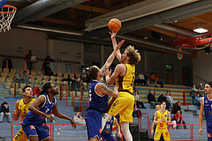 Basketball Zweite Liga 2024/25, Grunddurchgang 1.Runde Traiskirchen Lions NextGen vs. Kufstein Towers


