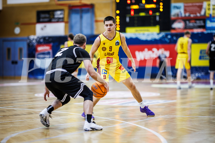 Basketball, Basketball Zweite Liga 2024/25, Grunddurchgang 19.Runde, Traiskirchen Lions NexGen, Wörthersee Piraten, Tim Huber (2), Boris Perkovic (9)