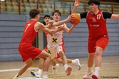 Basketball Superliga 2024/25, SLMU19 Traiskirchen Lions Academy vs. SG Salzkammergut


