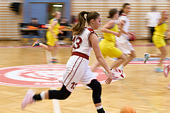 Basketball Superliga 2024/25, SLWU16 Traiskirchen Lionesses vs. UBBC Herzogenburg


