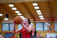 Basketball Superliga 2024/25, SLMU16 Traiskirchen Lionesses vs. VKL Vikings Kammer



