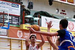 Basketball Superliga 2024/25, SLMU16 Traiskirchen Lions vs. FCN Baskets Wels


