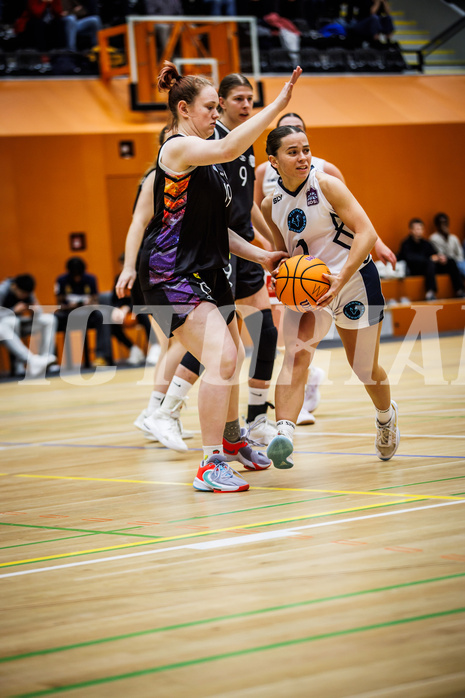 Basketball, Win2Day Basketball Damen Superliga 2024/25, Grunddurchgang 11.Runde, Vienna Timberwolves, Vienna United, Elisa Khamis (1)