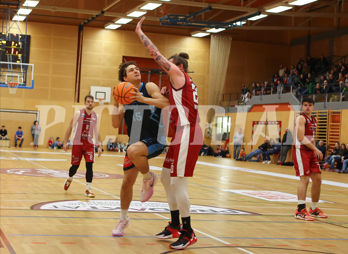 Basketball Zweite Liga 2024/25, Grunddurchgang 15.Runde Mistelbach Mustangs vs. Vienna Timberwolves