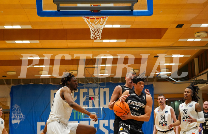 Basketball Zweite Liga 2024/25, Grunddurchgang 16.Runde Kufstein Towers vs. Güssing Blackbirds


