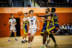 Basketball, Basketball Zweite Liga 2024/25, Grunddurchgang 17.Runde, Vienna Timberwolves, Future Team Steiermark, Jakob Konzet (5)
